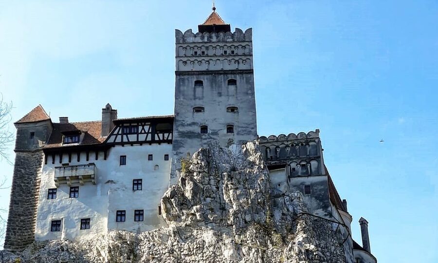 Bucharest: Bran Castle and Bear Sanctuary Small-Group Tour - Libearty Bear Sanctuary: the day’s most distinctive stop