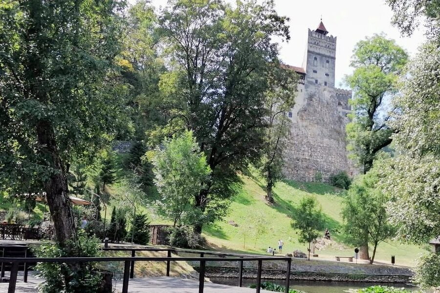 Bucharest: Bran Castle and Bear Sanctuary Small-Group Tour - Lunch and free time in Bran