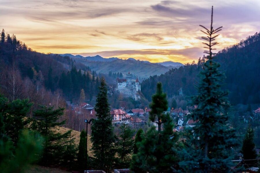Bucharest: Bran Castle and Bear Sanctuary Small-Group Tour - A small vehicle and a relaxed start