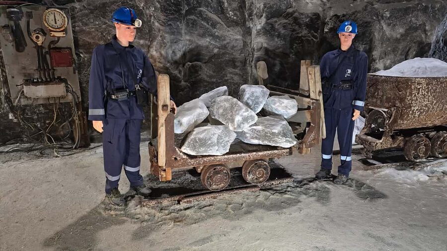Bucharest Bus Tour: Salt mine & Dracula Tomb Half Day Trip - What the guiding is like