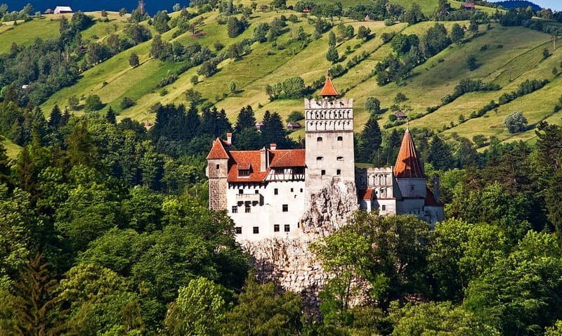 Bucharest: Day Trip to Bear Sanctuary, Bran Castle & Brasov - Meeting rescued bears at Libearty