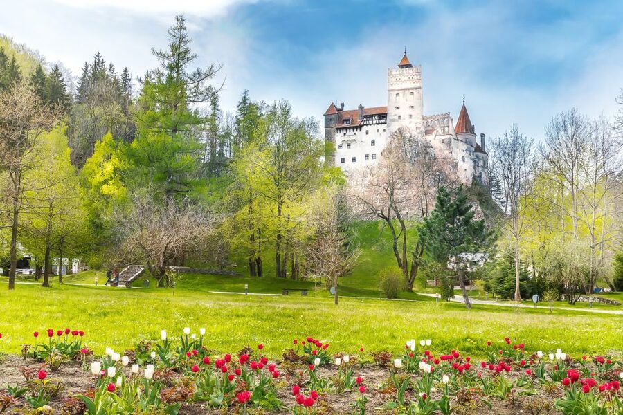 Bucharest: Day Trip to Dracula Castle, Peles Castle & Brașov - Guides, languages, and group style