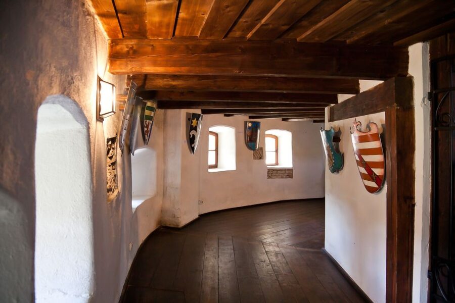 Bucharest: Day Trip to Dracula Castle, Peles Castle & Brașov - Who should book this trip