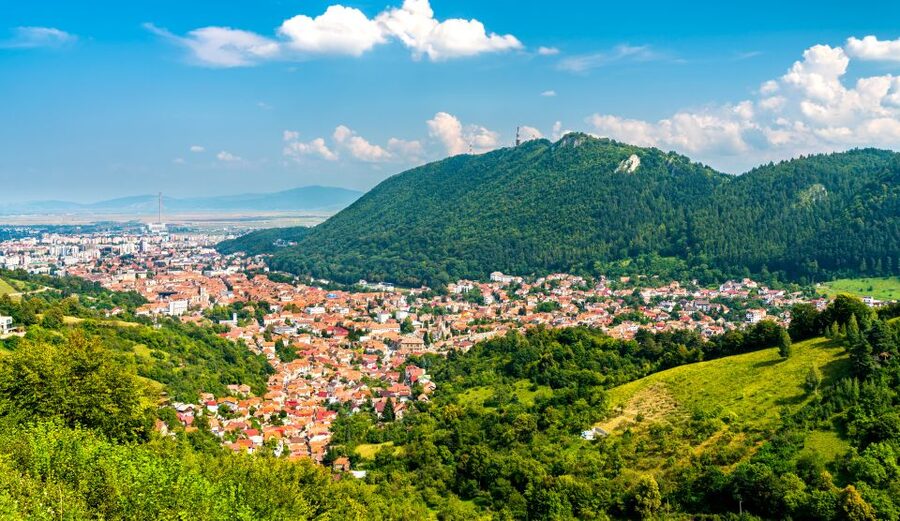 Bucharest: Dracula Castle, Peles Castle & Brasov Guided Tour - Guides, group size, and the human side
