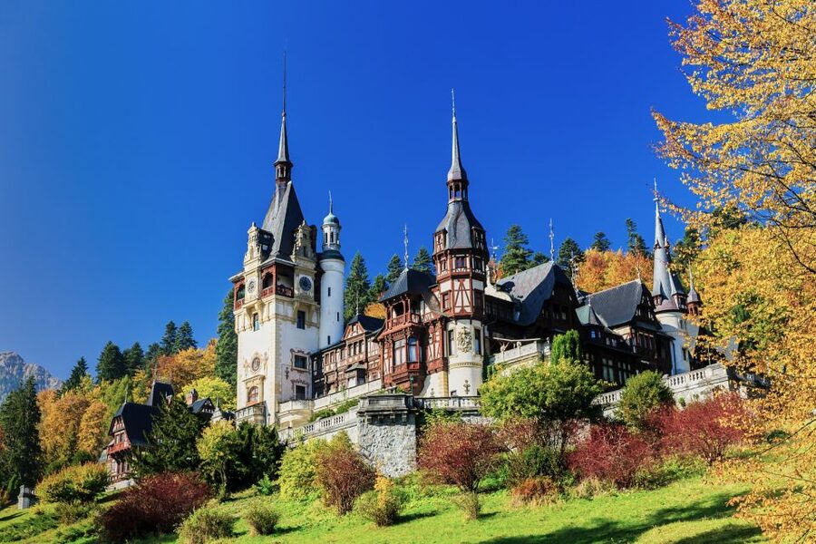 Bucharest: Dracula Castle, Peles Castle & Brasov Old Town - What the guide and coach add