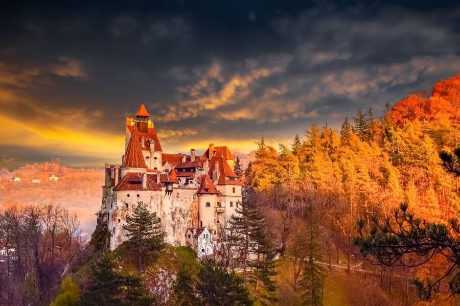 Bucharest: Dracula's Castle, Peleș Castle & Brașov Day Trip - Why this Transylvania day trip works