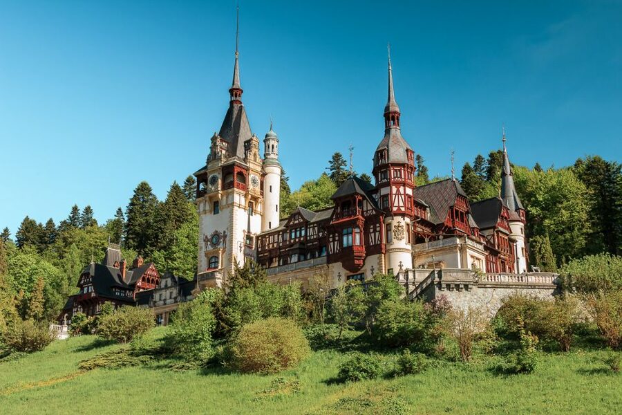 Bucharest: Dracula's Castle, Peles Castle, & Brasov Old Town - Who should book this castle tour?