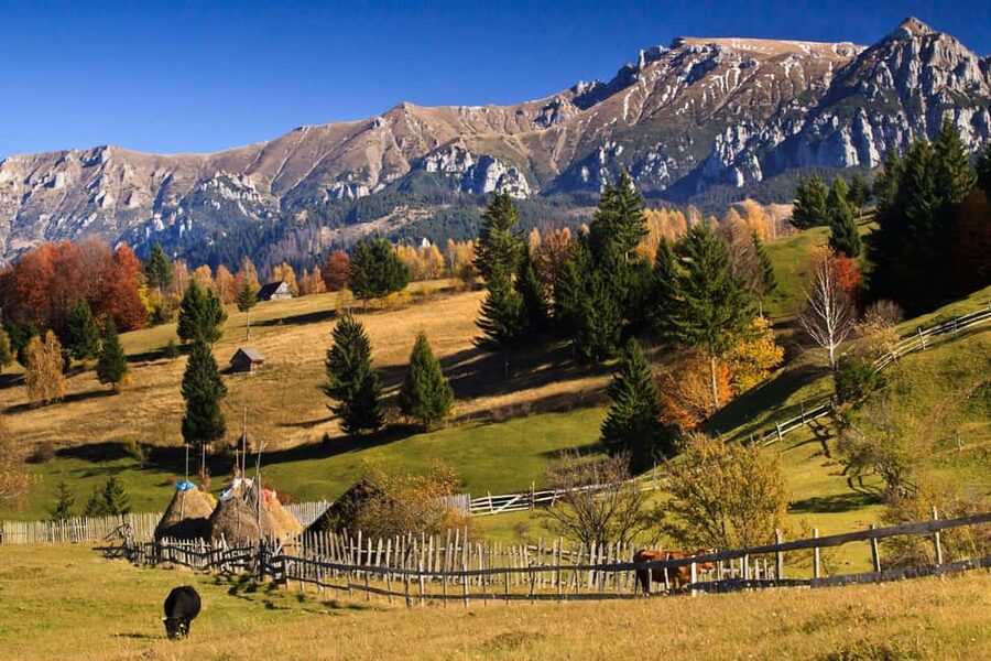 Bucharest:Dracula's Castle,''Wednesday''& Brasov Small Group - What the guide adds to the day