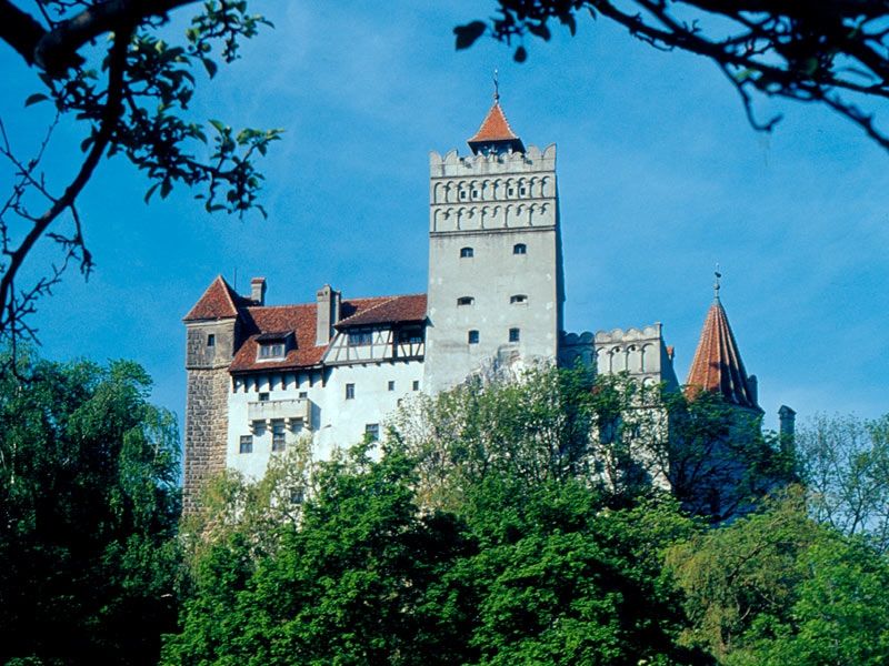 Bucharest: Peles Castle, Dracula's Castle and Brasov Tour - Who should book this tour?