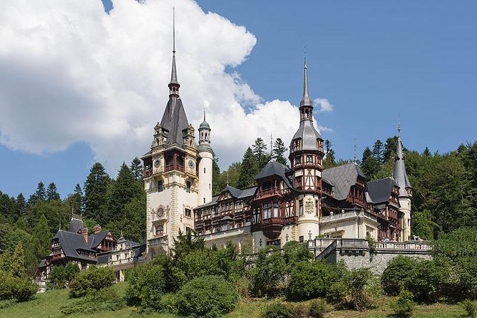 Bucharest Private Tour to Peles Castle & Biggest Salt Mine in Eu - Transport, meals, and the real cost