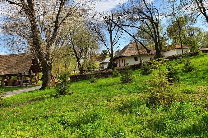 Bucharest Private Tour with Dracula's Grave and Ceaușescu Mansion - Calea Victoriei: Bucharest’s grand contradictions