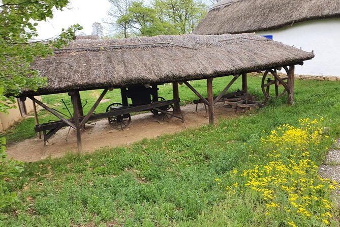 Bucharest Private Tour with Dracula's Grave and Ceaușescu Mansion - National Village Museum: rural Romania in one hour