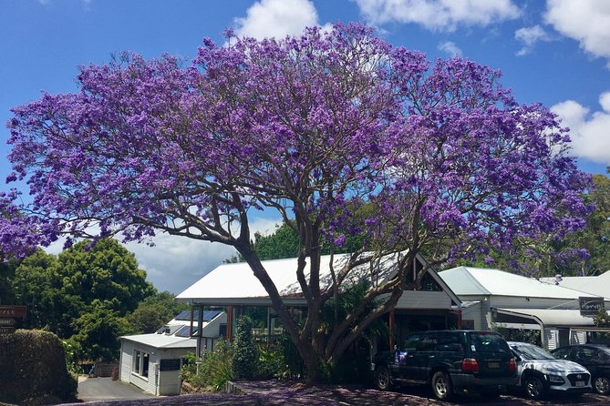 Byron Bay and Beyond Tour Including Cape Bryon Lighthouse Crystal Castle and Bangalow - Crystal Castle and the Shambhala Gardens