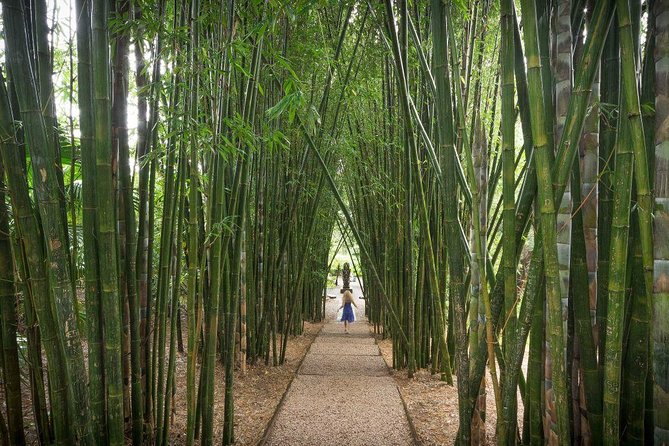 Byron Bay and Beyond Tour Including Cape Bryon Lighthouse Crystal Castle and Bangalow - Price, timing, and what the package covers