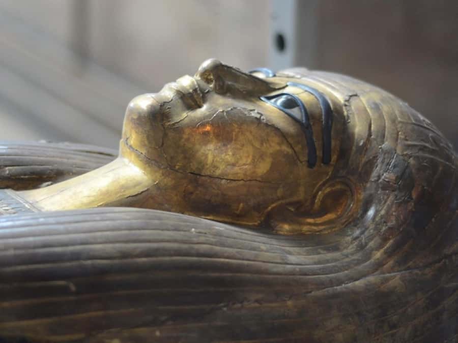 Cairo: Egyptian Museum, Citadel, and Old Cairo Guided Tour - What this Cairo tour actually covers