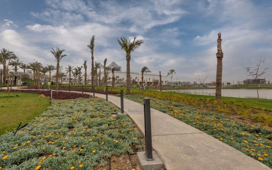 Cairo: National Museum, Egyptian Museum, and Citadel Tour - Three periods of Egypt in one Cairo day