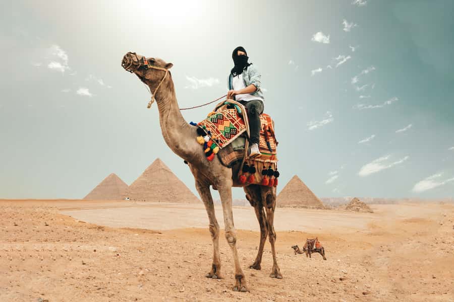 Cairo: Pyramids, Bazaar, Citadel Tour with Photographer - Giza Plateau: your first look at the pyramids