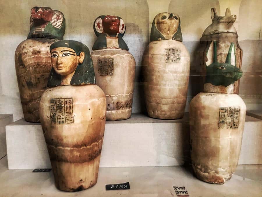 Cairo Tour To Egyptian Museum, Citadel & Khan Khalili Bazaar - Guide languages and the human side of the tour