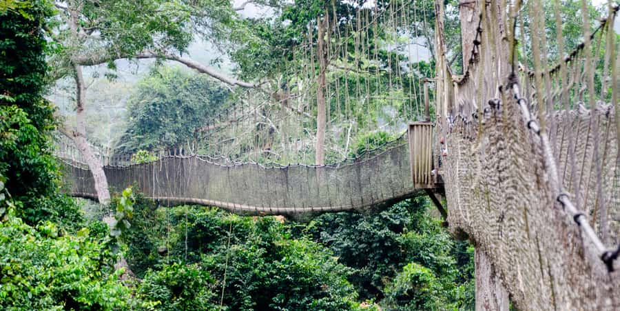 Cape Coast: Kakum National Park, Castles, & Hans Cottage - A full day from Accra to Ghana’s Central Region
