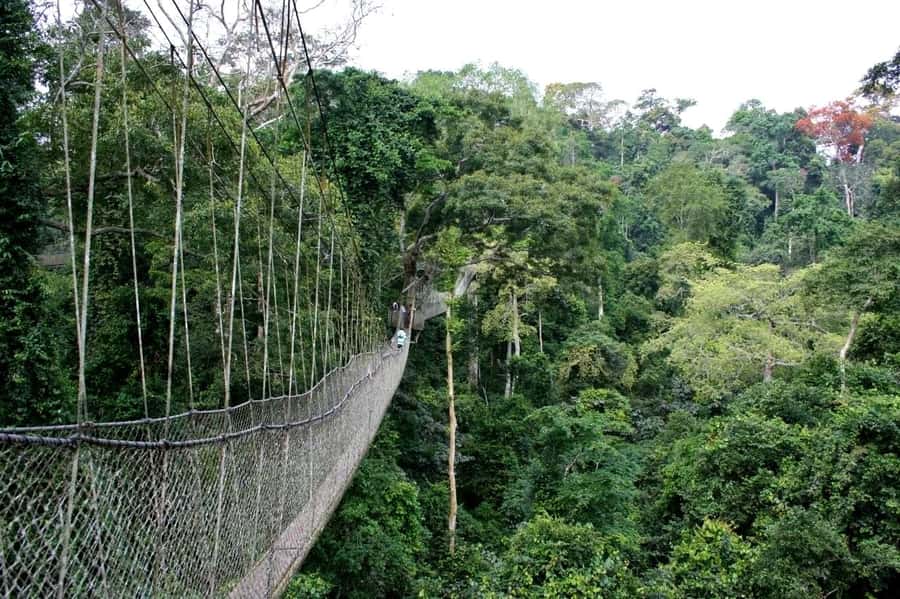 Cape Coast: Kakum National Park, Castles, & Hans Cottage - Hans Cottage brings in a different kind of stop