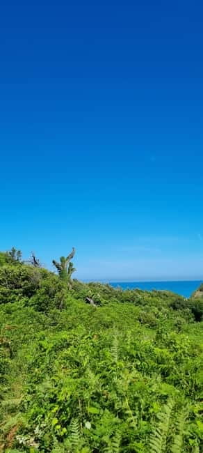 Cape of Rodon, Hiking to Castle, Beach, Wine testing tour! - St. Anthony’s Church offers a short look at Albanian sacred art