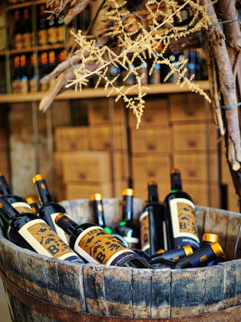 Carcassonne: Solex tour with guide and wine tasting - Riding through Carcassonne and the garrigue