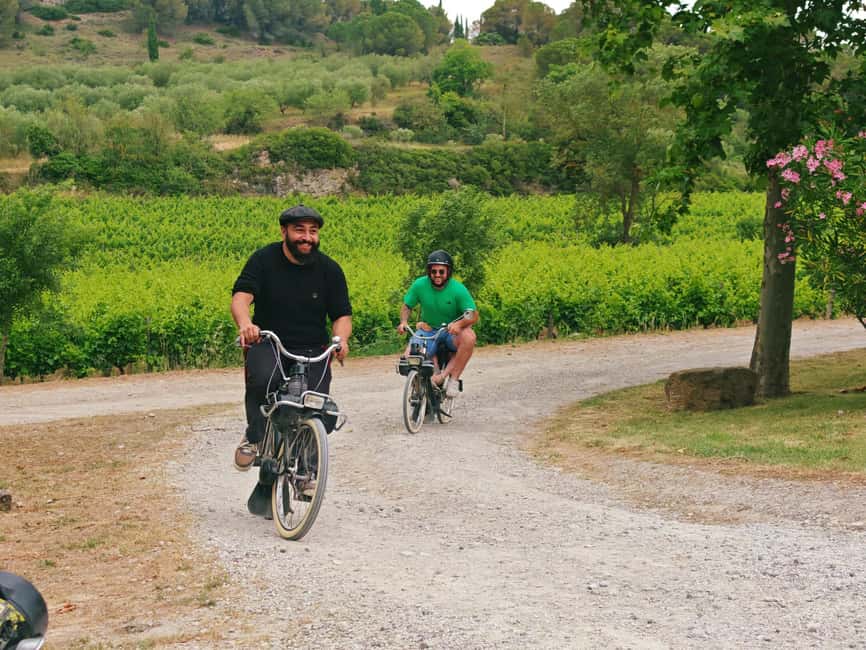 Carcassonne: Solex tour with guide and wine tasting - Timing, weather, and small practical details
