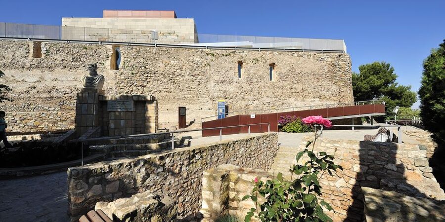 Cartagena: Roman Theater, Forum, Castle and Panoramic Lift - Read Cartagena’s Roman city at the Forum Museum