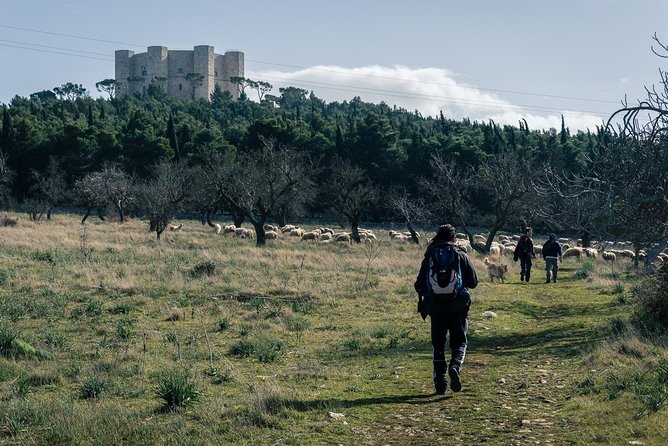 Castel del Monte: excursion in the Alta Murgia National Park - The one-hour visit at Castel del Monte