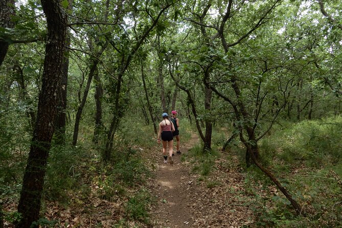 Castel del Monte: excursion in the Alta Murgia National Park - What private transportation adds