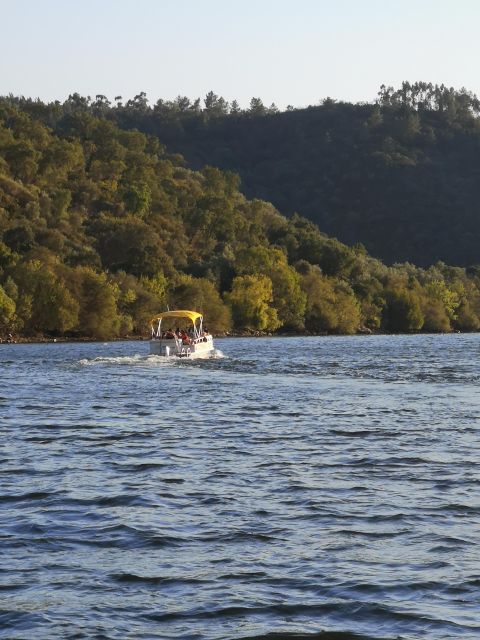 Castelo Branco: Portas de Ródão Natural Monument Boat Trip - Key points to know before booking