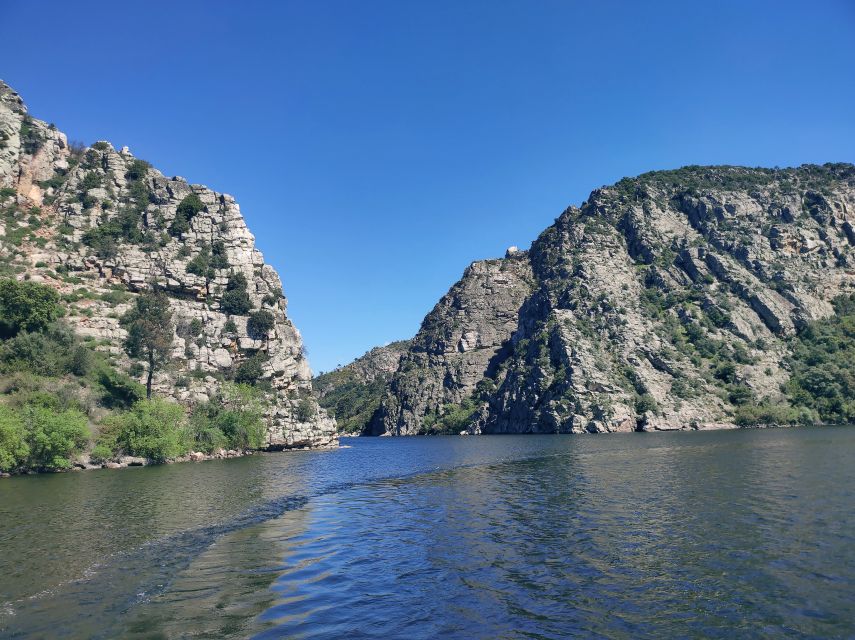 Castelo Branco: Portas de Ródão Natural Monument Boat Trip - What the private format changes