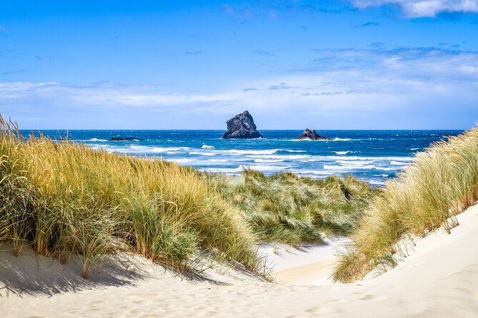 Castle, Coast & City Tour - 8 pax max - Castle Entrance Included - Why this five-hour Dunedin tour works