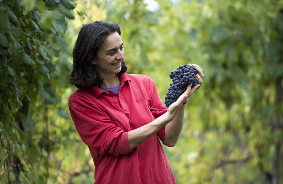 Castle Winery Tour & Tasting near Lake Maggiore - The four wines you will taste