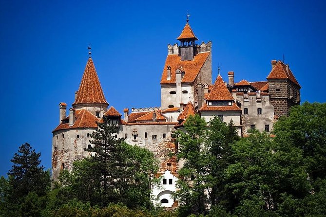 Castles of Transylvania: Private Day Trip from Bucharest - What the private format really gives you