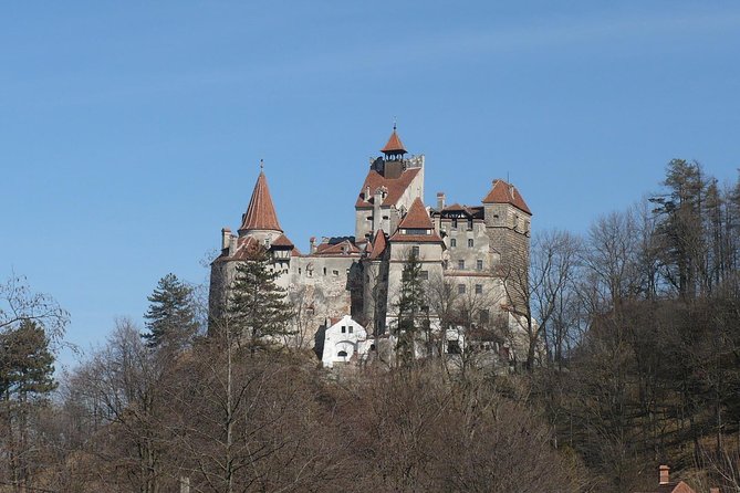 Castles Private Tour Peles - Bran - Rasnov from Brasov - Rasnov Citadel: a shorter stop with wide views
