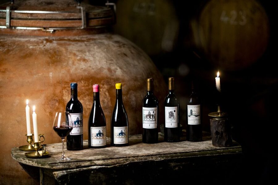 Château de Luc: Unique visit and wine tasting - Tasting organic wines in a former stable