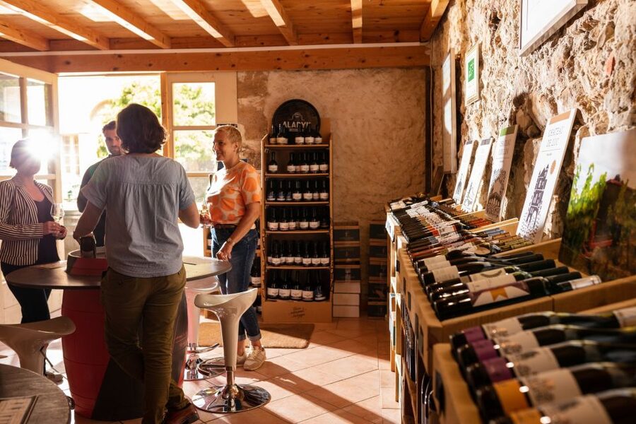 Château de Luc: Unique visit and wine tasting - Who will enjoy Château de Luc most?