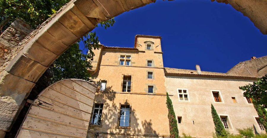 Château de Luc: Unique visit and wine tasting - The 14th-century cellar is the main attraction