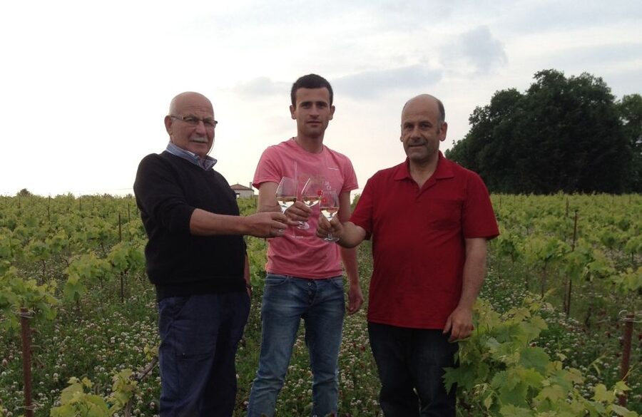 Château du Bois-Huaut: Cellar Tour and Wine Tasting Class - See how the cellar shapes the wine