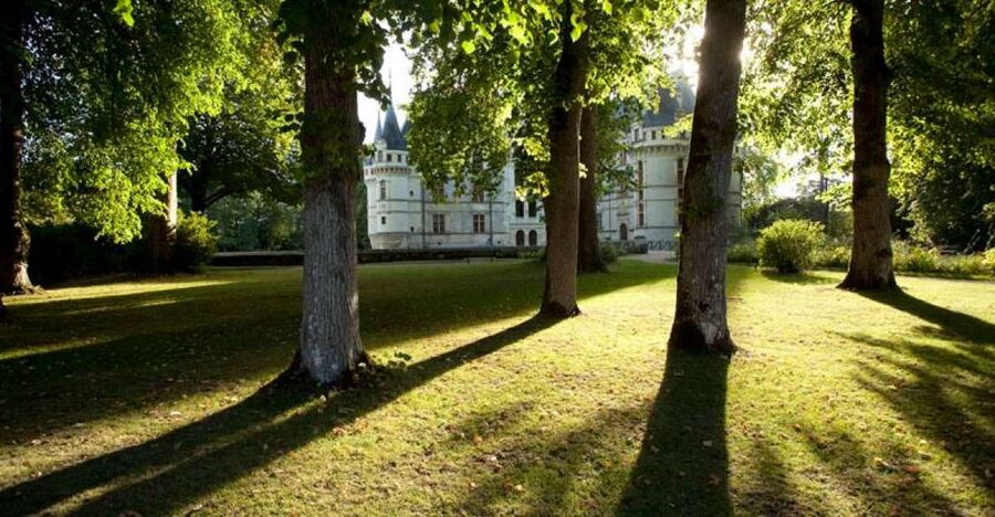 Château of Azay-le-Rideau Entry Ticket - The Renaissance exterior deserves your time