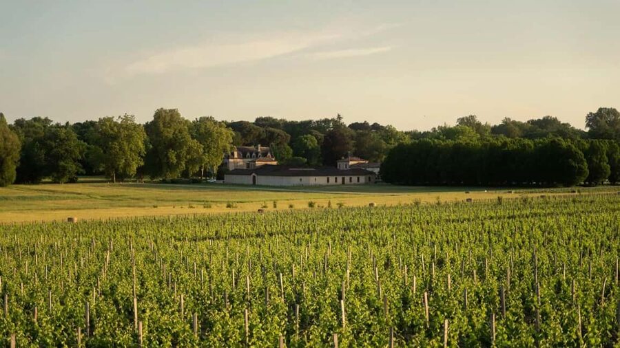 Château Olivier: One Hour Vineyard Tour with Wine Tasting - Getting there and managing the practical details
