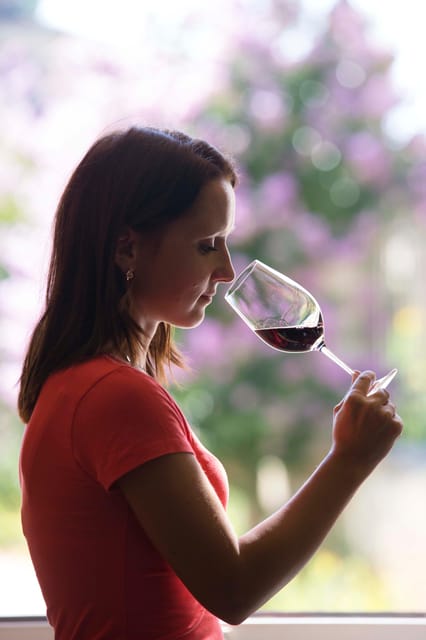Château Olivier: One Hour Vineyard Tour with Wine Tasting - Entering the 220-hectare estate