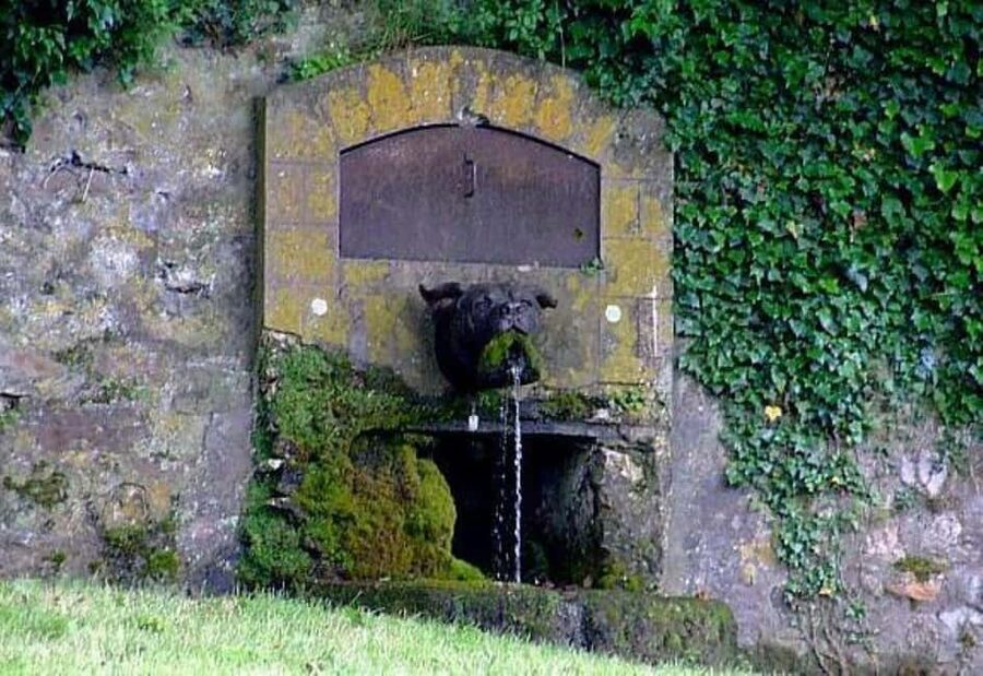 Château-Thierry: Belleau Wood & the 2nd Battle of the Marne - Key points of the Belleau Wood tour