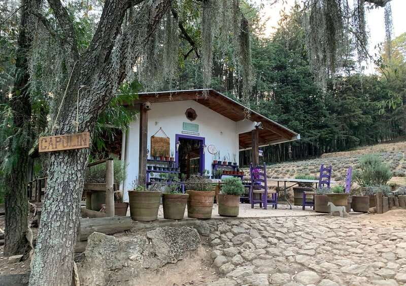 Chautla's Castle, Lavender Farm, and Valquirico Private Tour - Walking into Ex-Hacienda de Chautla