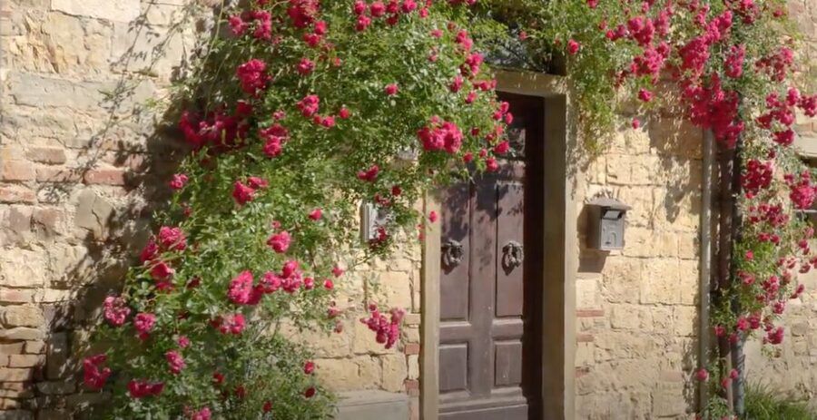 Chianti and Castles Tour From San Gimignano - Should you book this tour?