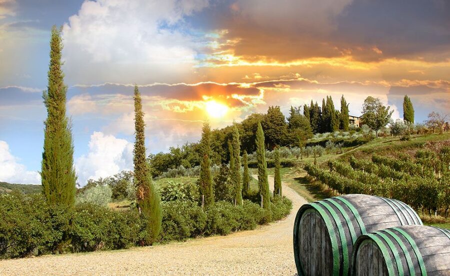 Chianti and Castles Tour From San Gimignano - Is $100 good value for six hours?
