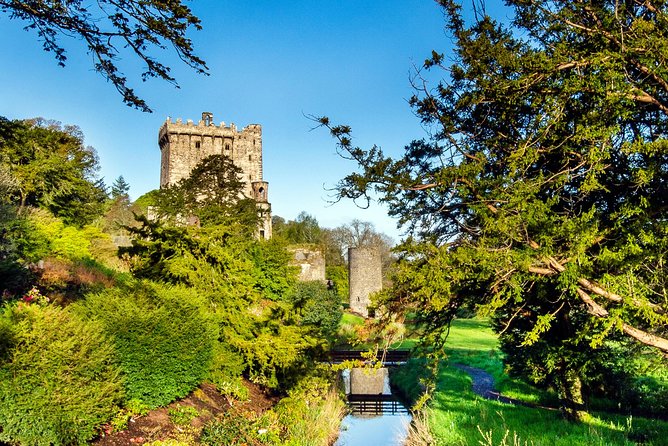 Cobh (Cork) to Blarney Castle & Kinsale - Shore Excursion - What the $95.53 price gets you