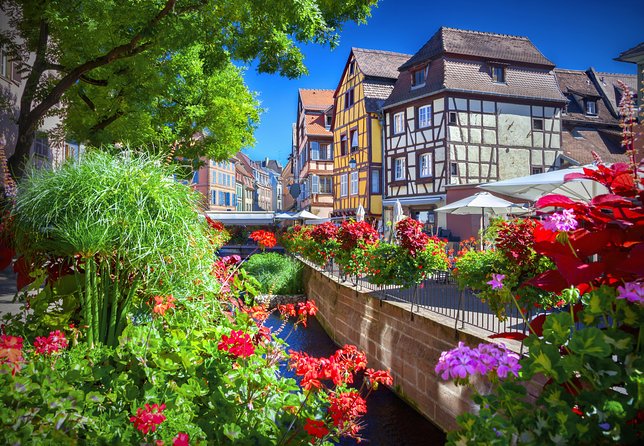 Colmar, Medieval Village & Castle Small Group from Strasbourg - The Alsace Wine Route turns the drive into part of the tour