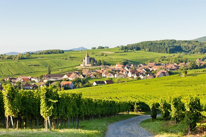Colmar, Medieval Village & Castle Small Group from Strasbourg - Haut-Koenigsbourg Castle is the day’s strongest guided sight